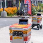 ceo-of-ecommerce-giant-warns-robots-will-replace-humans-in-food-delivery,-other-gig-economy-jobs