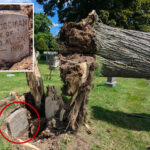 108-year-old-gravestone-unearthed-after-severe-storm-uproots-tree