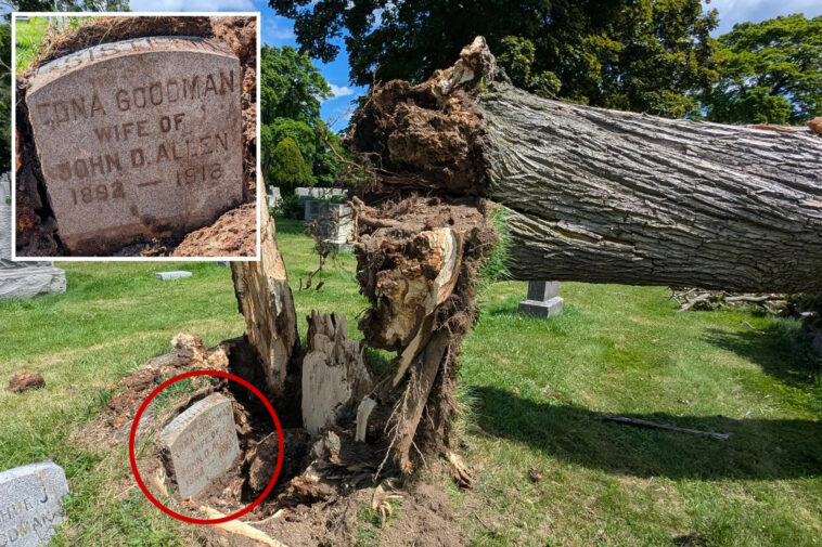 108-year-old-gravestone-unearthed-after-severe-storm-uproots-tree