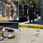 2-shot-in-daylight-attack-across-nyc’s-medgar-evers-college:-cops