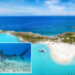 american-boy,-12,-attacked-by-shark-while-swimming-at-bahamas-resort