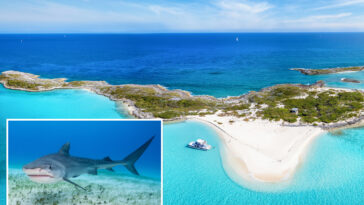 american-boy,-12,-attacked-by-shark-while-swimming-at-bahamas-resort