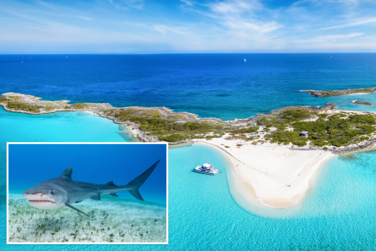 american-boy,-12,-attacked-by-shark-while-swimming-at-bahamas-resort