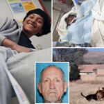 horror-as-boy,-12,-drowns-after-jumping-into-lake-after-three-vicious-dogs-hunted-him-down