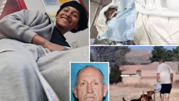 horror-as-boy,-12,-drowns-after-jumping-into-lake-after-three-vicious-dogs-hunted-him-down
