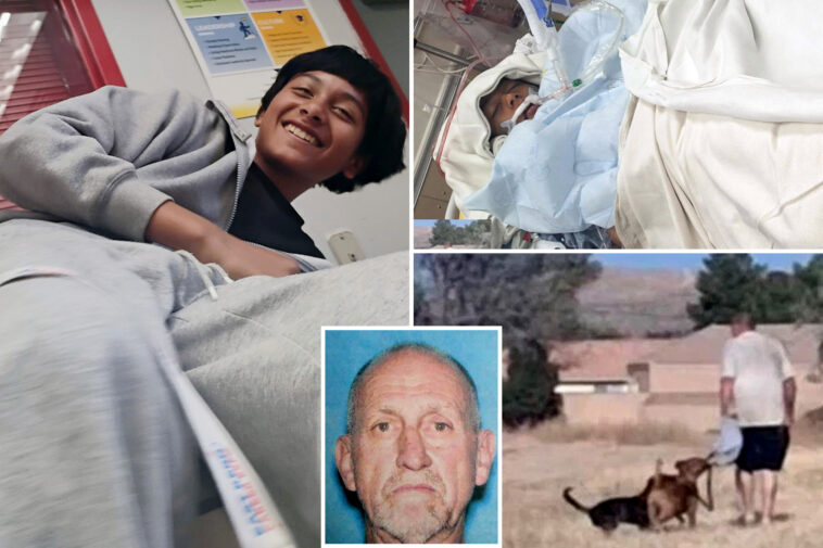 horror-as-boy,-12,-drowns-after-jumping-into-lake-after-three-vicious-dogs-hunted-him-down