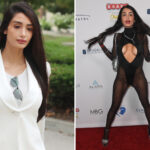 penthouse-pet-reveals-x-rated-past-as-she-tries-to-avoid-time-behind-bars
