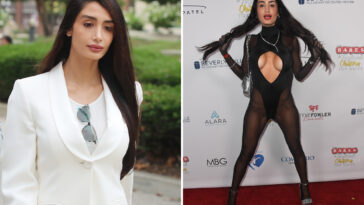 penthouse-pet-reveals-x-rated-past-as-she-tries-to-avoid-time-behind-bars