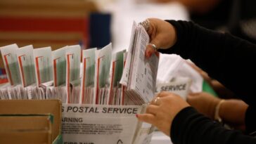 woman-recounts-visit-to-ca-ballot-counting-center:-40-percent-accuracy-accepted-for-signatures,