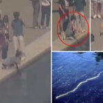 park-police-ask-for-public’s-help-to-id-person-who-allegedly-damaged-dc-reflecting-pool