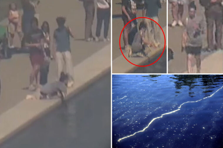 park-police-ask-for-public’s-help-to-id-person-who-allegedly-damaged-dc-reflecting-pool