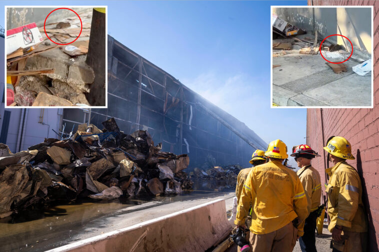disgusting-concerns-of-vermin-and-bugs-as-boyle-heights-warehouse-becomes-bloated-biohazard