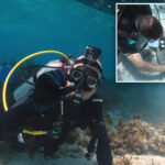 centuries-old-pirate-mystery-deepens-after-newly-discovered-shipwrecks-found-in-the-bahamas