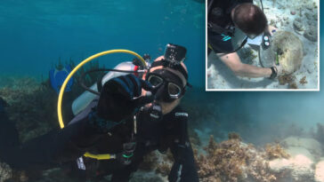 centuries-old-pirate-mystery-deepens-after-newly-discovered-shipwrecks-found-in-the-bahamas
