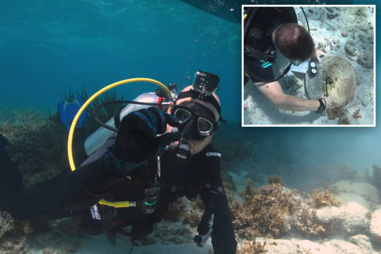 centuries-old-pirate-mystery-deepens-after-newly-discovered-shipwrecks-found-in-the-bahamas