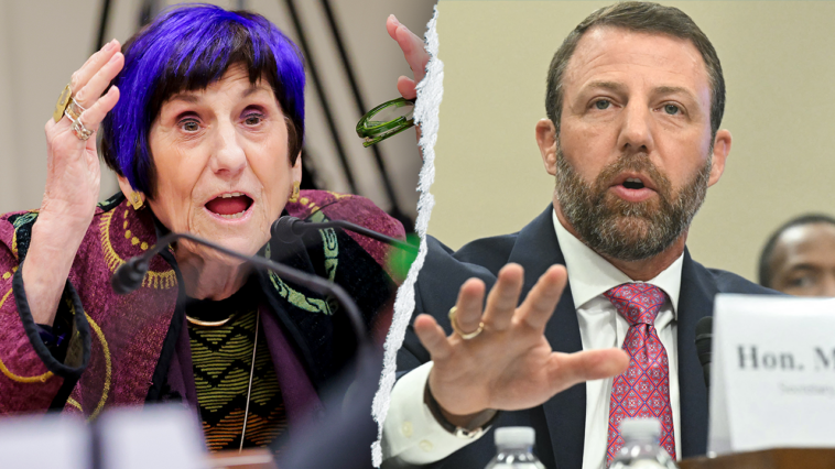 watch:-hearing-derails-as-purple-haired-dem-points-finger,-screams-at-chair-to-put-dhs-chief-‘in-his-place’