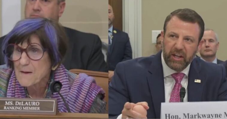 markwayne-mullin-goes-off-on-screeching-purple-haired-democrat-rep.-rosa-delauro-in-heated-exchange-(video)