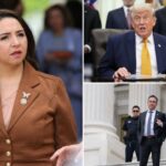 dems-erupt-in-fury-after-supreme-court-hands-trump-victories-in-two-immigration-cases:-‘white-supremacist-agenda’