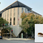 bedbug-infestation-forces-urgent-evacuation-of-california-department-of-education-headquarters