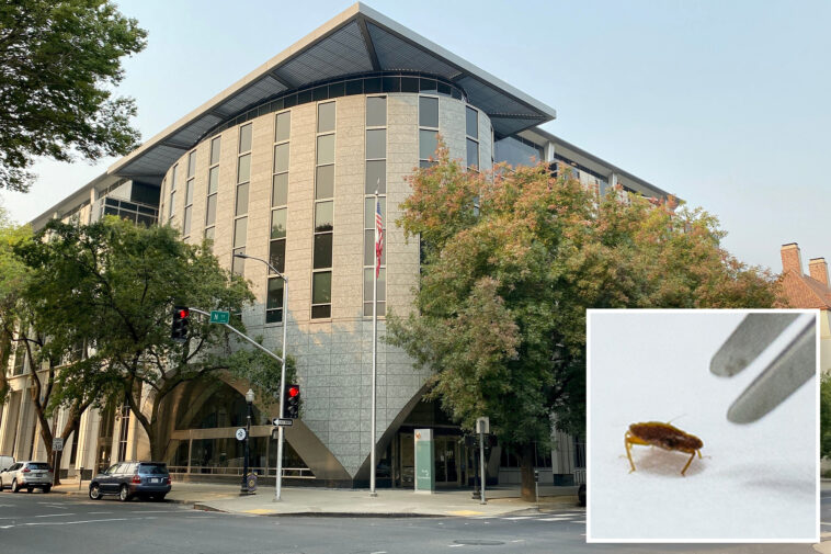bedbug-infestation-forces-urgent-evacuation-of-california-department-of-education-headquarters