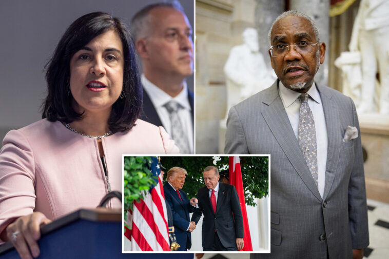 nicole-malliotakis-joins-greg-meeks’-quest-to-stop-trump’s-$750m-deal-withturkey