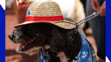 here’s-how-to-get-tickets-for-the-dodgers-one-piece-night-with-a-discount