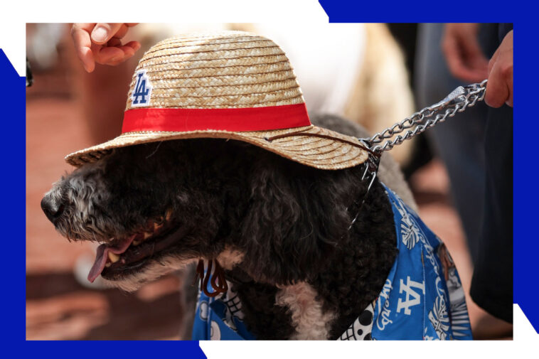 here’s-how-to-get-tickets-for-the-dodgers-one-piece-night-with-a-discount