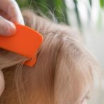 the-lice-infestation-at-the-center-of-a-3-year-old’s-death