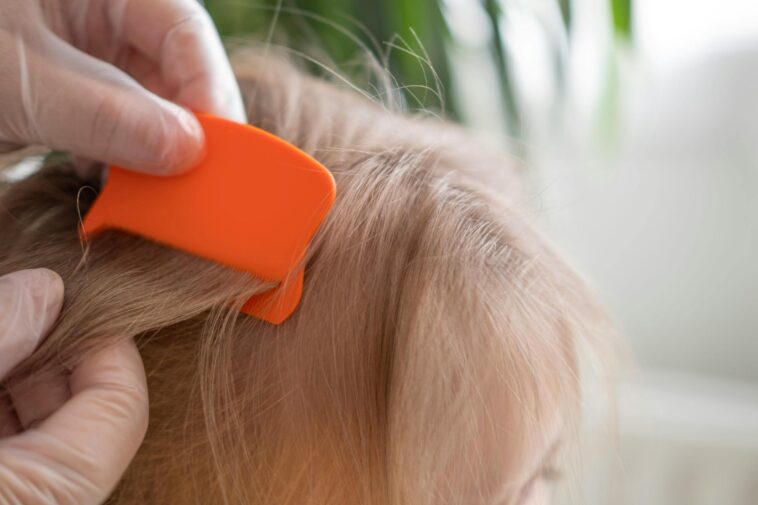 the-lice-infestation-at-the-center-of-a-3-year-old’s-death