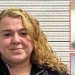 dhs:-illinois-former-teacher-helped-two-alleged-tren-de-aragua-gunmen-during-house-party-shooting