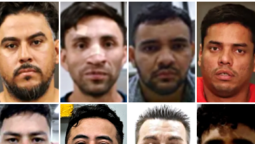 dhs-celebrates-arrests-of-more-than-10,000-illegal-alien-gang-members-since-trump-took-office