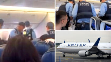 united-flight-from-china-to-san-francisco-diverted-after-passenger’s-wild-scuffle-with-flight-attendant
