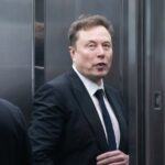 germany-bans-film-on-vigilante-who-kills-violent-illegals,-so-elon-posts-whole-movie-on-x-for-free…-for-the-entire-planet