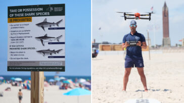 sharks-are-arriving-for-the-4th-of-july-holiday,-but-this-new-tech-is-keeping-bites-at-bay