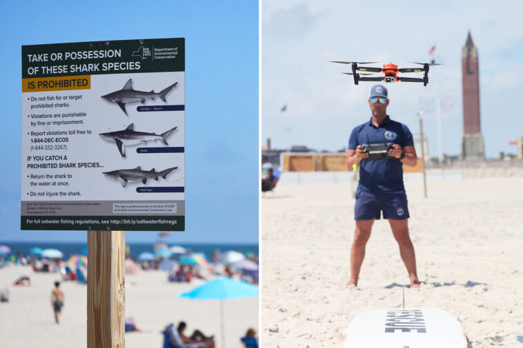 sharks-are-arriving-for-the-4th-of-july-holiday,-but-this-new-tech-is-keeping-bites-at-bay