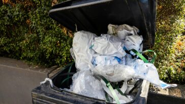 clerk-rigged-board-election-for-dj-pal-—-then-stashed-ballots-in-cafeteria-trash-can