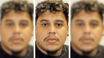 exclusive:-illegal-immigrant-attempts-to-flee-the-country-after-causing-fatal-hit-and-run