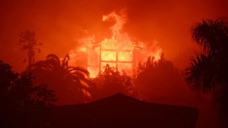 burned-by-the-jury:-$51b-palisades-fire-trial-goes-up-in-smoke