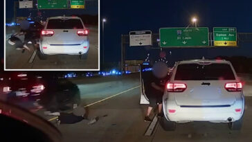 terrifying-video-shows-sicko-throw-female-driver-into-chicago-highway-—-just-inches-from-passing-cars