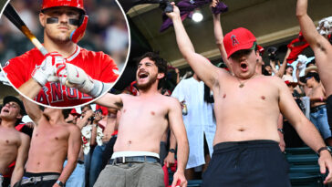 angels-fans-finally-win-something-in-hilarious-new-national-ranking