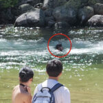 yosemite-visitors-warn-of-‘extremely-dangerous’-waterfall-that-claimed-life-of-22-year-old