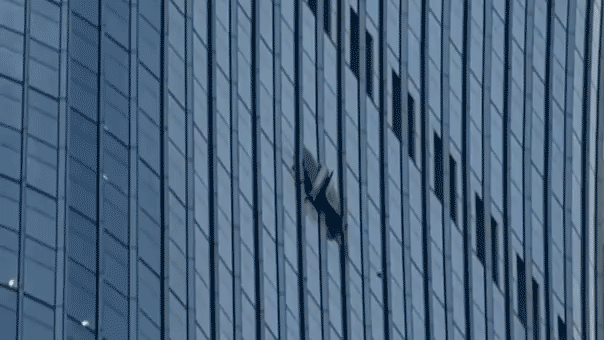 video-shows-gaping-hole-after-small-plane-crashes-into-towering-skyscraper