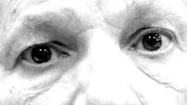 harvey-weinstein-judicial-drama:-appeals-court-upholds-disgraced-mogul’s-california-conviction,-but-orders-judge-to-re-sentence-him