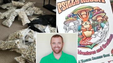 san-diego-man-pleads-guilty-to-dosing-his-kids-with-‘magic-mushrooms’
