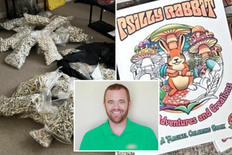 san-diego-man-pleads-guilty-to-dosing-his-kids-with-‘magic-mushrooms’