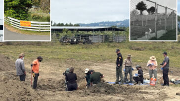 horrifying-mass-grave-of-over-100-dead-dogs-discovered-at-california-animal-rescue