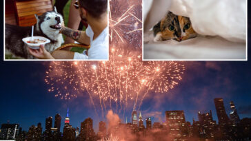 nyc-veterinarian-reveals-tips-to-keep-your-fireworks-sensitive-pets-safe-this-4th-of-july