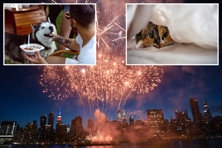 nyc-veterinarian-reveals-tips-to-keep-your-fireworks-sensitive-pets-safe-this-4th-of-july