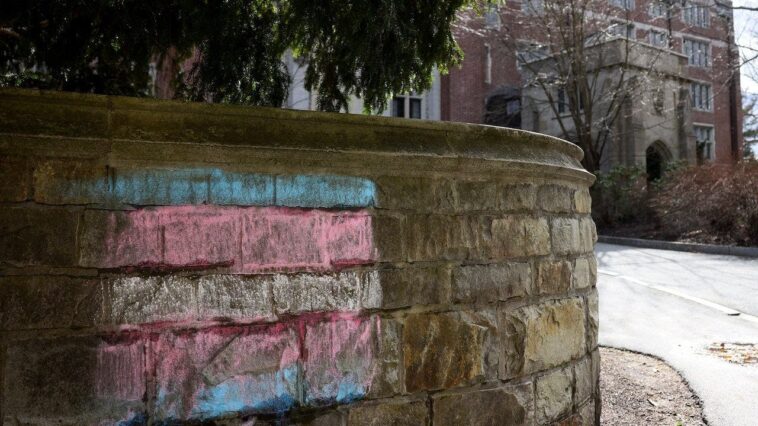 all-women’s-school-wellesley-college-responds-to-accusations-of-admitting-biological-male-trans-students