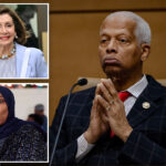 hank-johnson-welcomes-incoming-socialists-as-pelosi,-ilhan-omar-refuse-to-comment-on-growing-dsa-influence